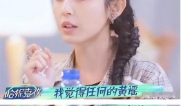 哈妮克孜爆料陈赫视频,揭秘娱乐圈背后故事